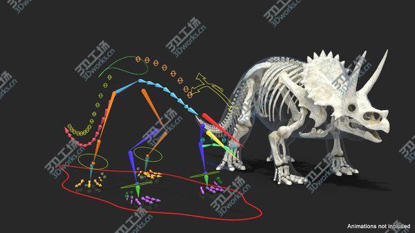 images/goods_img/20210312/Triceratops Skeleton with Transparent Skin Rigged 3D model/4.jpg